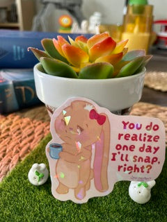 A small potted succulent in a white pot with a decorative sign in front that reads 'You do realize one day I'll snap, right?' with a cartoon cat illustration. The setup is placed on artificial grass with a basket underneath.