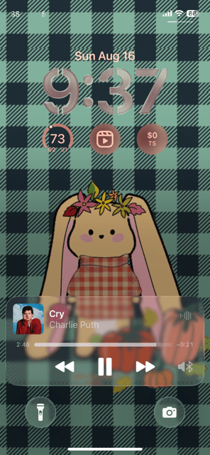 Bonnie Gingham Autumn Phone & Desktop Wallpaper | Cute Fall Aesthetic - Pink Nightlight Studio